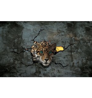 Wall Mural: Cheetah in the wall - 254x368 cm
