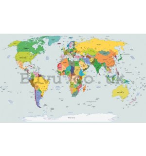 Wall Mural: Map of the world (2) - 254x368 cm