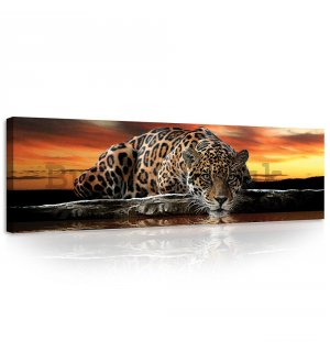 Painting on canvas: Jaguar - 145x45 cm
