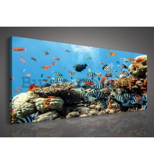 Painting on canvas: Coral reef - 145x45 cm