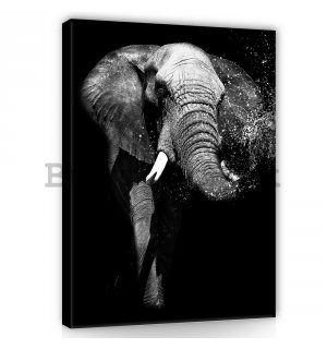 Painting on canvas: Black and white elephant - 100x75 cm