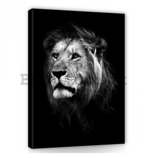 Painting on canvas: The Lion (5) - 100x75 cm