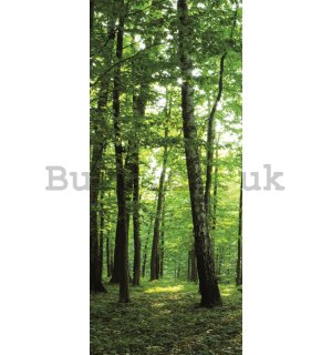 Photo Wallpaper Self-adhesive: Woods (2) - 211x91 cm