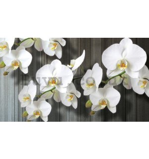 Painting on canvas: White Orchids (3) - 75x100 cm