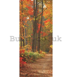 Photo Wallpaper Self-adhesive: Autumn forest - 211x91 cm