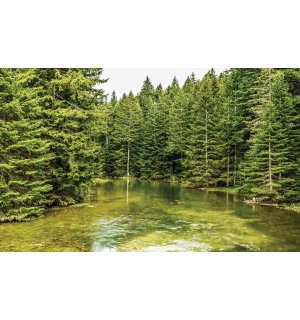Wall mural vlies: Forest pool (2) - 254x368 cm