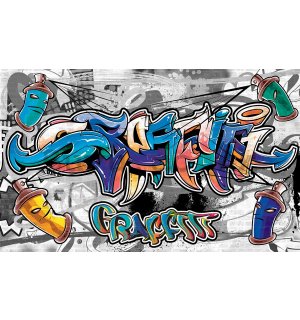Vlies wall mural : Graffiti (9) - 184x254 cm
