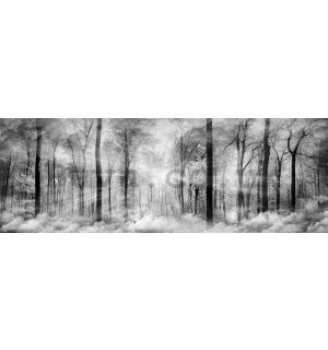 Wall mural: Black and white forest - 624x219 cm