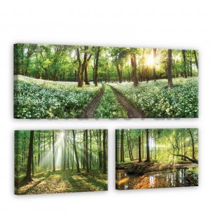Painting on canvas: Journey through the forest - set 1pc 80x30 cm and 2pc 37,5x24,8 cm