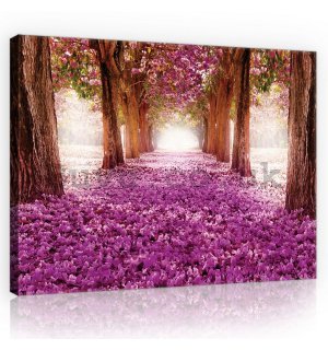 Painting on canvas: Blossom alley (1) - 75x100 cm