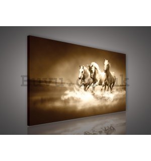 Painting on canvas: Horses (4) - 75x100 cm