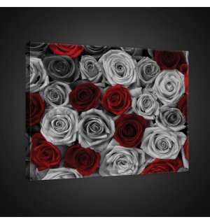 Painting on canvas: White and red roses (1) - 75x100 cm