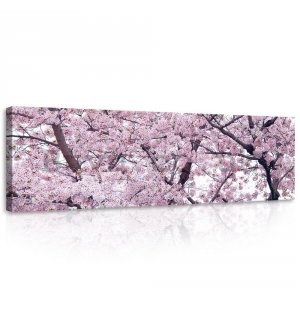 Painting on canvas: Flowering cherry (1) - 145x45 cm