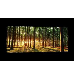 Painting on canvas: Sunset in the Forest - 145x45 cm