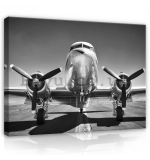 Painting on canvas: Aircraft Black & White (1) - 75x100 cm