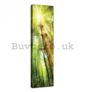 Painting on canvas: Forest sun (1) - 145x45 cm