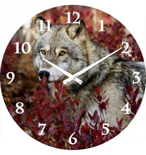 Glass wall clock: Wolf - 38 cm