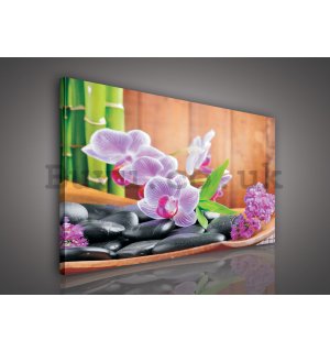 Painting on canvas: Orchid (1) - 80x60 cm