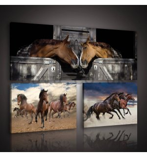 Painting on canvas: Horses (1) - set 1pc 80x30 cm and 2pc 37,5x24,8 cm