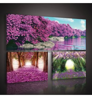 Painting on canvas: Blossoming Alley - set 1pc 80x30 cm and 2pc 37,5x24,8 cm
