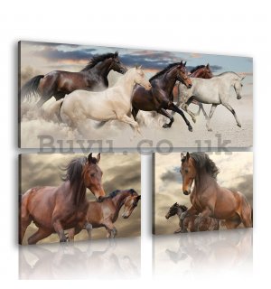 Painting on canvas: Horses (2) - set 1pc 80x30 cm and 2pc 37,5x24,8 cm