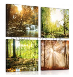 Painting on canvas: Forest views (1) - set 4pcs 25x25cm