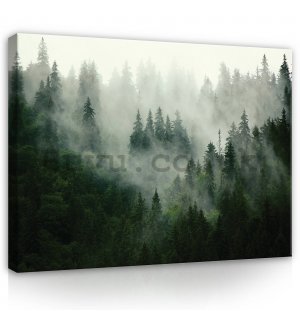 Painting on canvas: Fog over the forest (1) - 100x75 cm