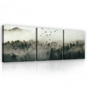 Painting on canvas: Fog forest - set 3pcs 25x25cm