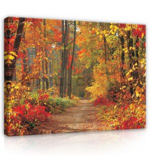 Painting on canvas: Autumn forest - 80x60 cm