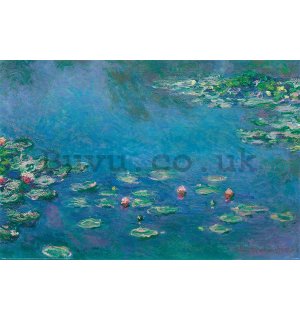 Poster - Claude Monet, Waterlillies