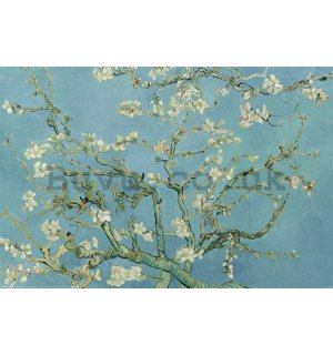 Poster - Van Gogh, Almond Blossom