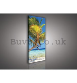 Painting on canvas: Beach with palm - 45x145 cm