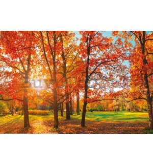 Poster: The sun in the autumn park