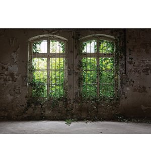 Wall mural vlies: Window with ivy - 416x254 cm