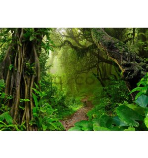 Wall mural vlies: Path in the forest - 416x254 cm