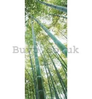 Photo Wallpaper Self-adhesive: Bamboo forest - 211x91 cm