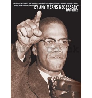 Poster - Malcolm X