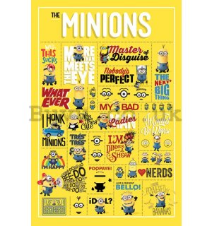 Poster - Despicable Me, Infographics