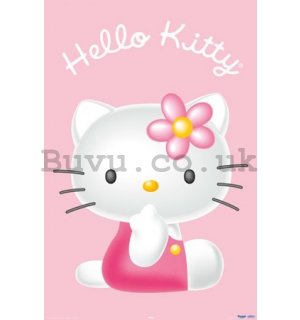 Poster - Hello Kitty 3d